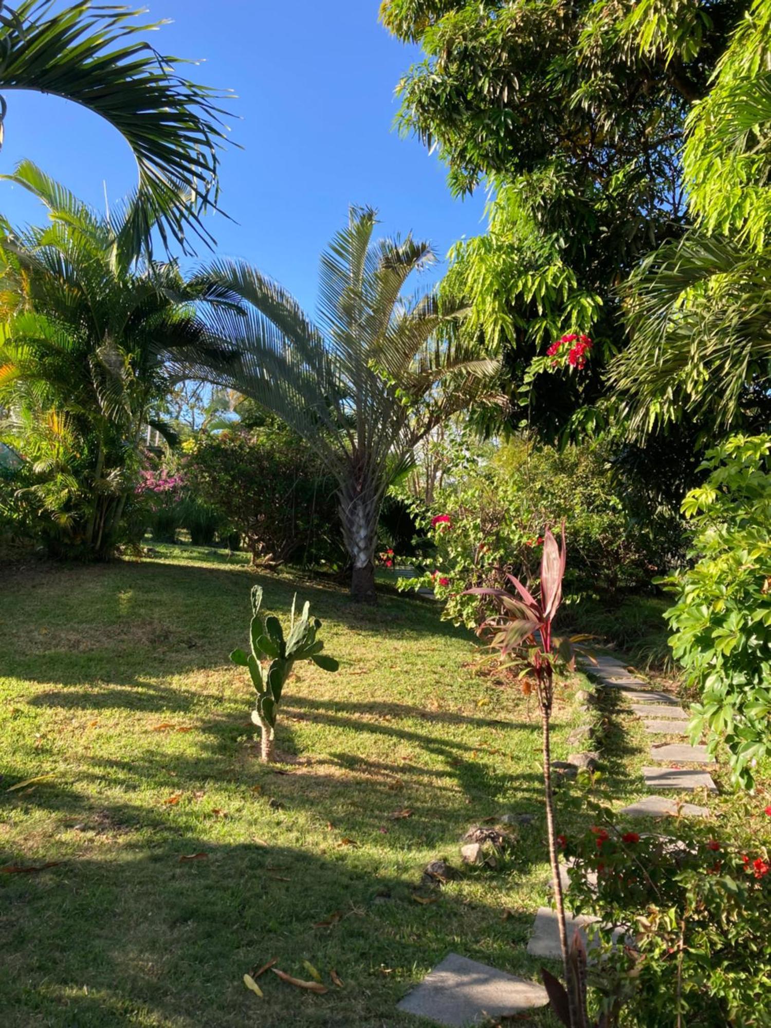 プラヤ・コロナド La Maracuya Panama Bed & Breakfast エクステリア 写真