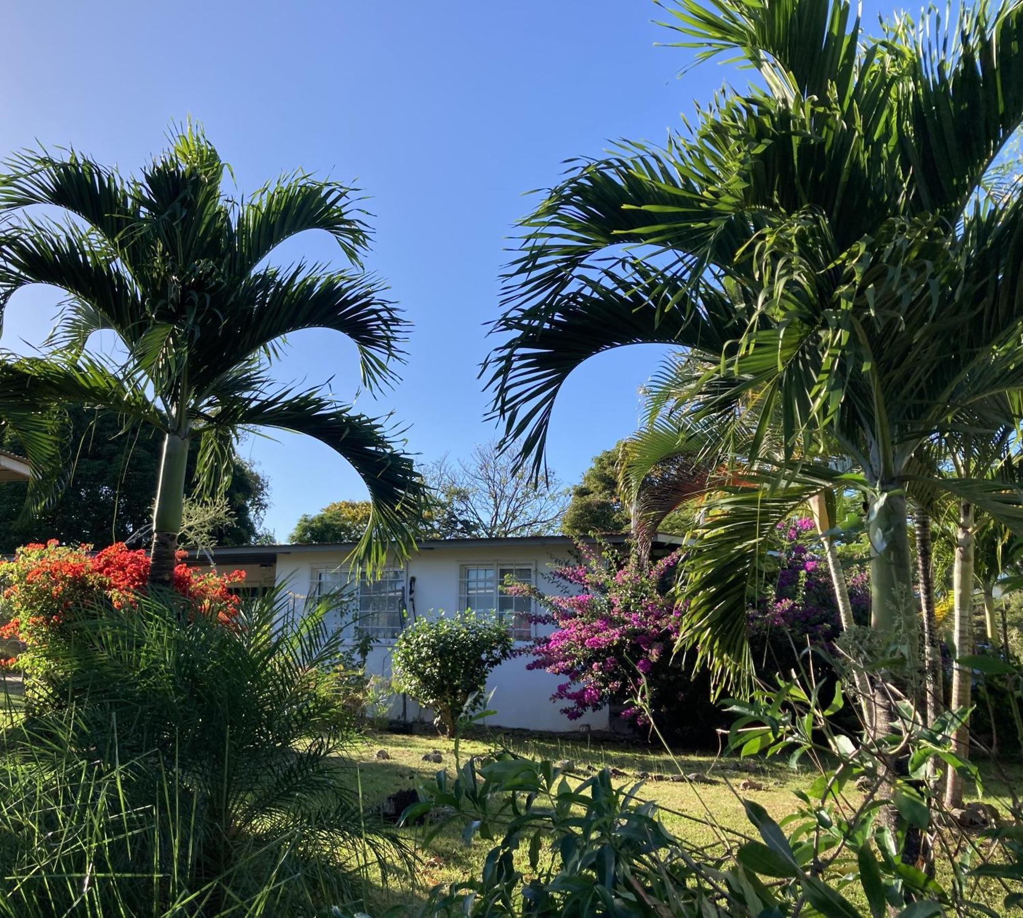 プラヤ・コロナド La Maracuya Panama Bed & Breakfast エクステリア 写真