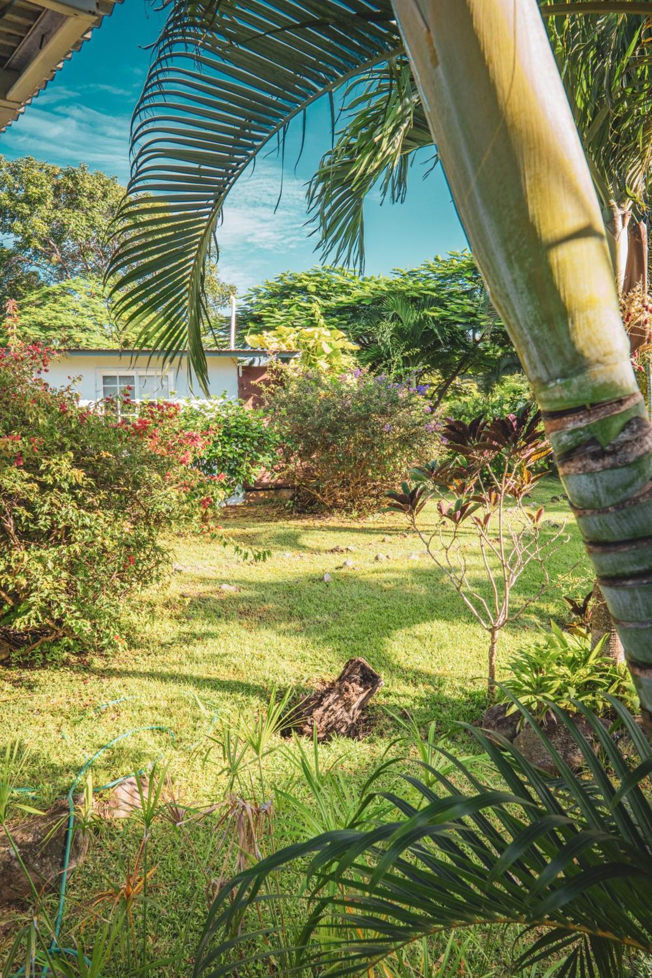 プラヤ・コロナド La Maracuya Panama Bed & Breakfast エクステリア 写真